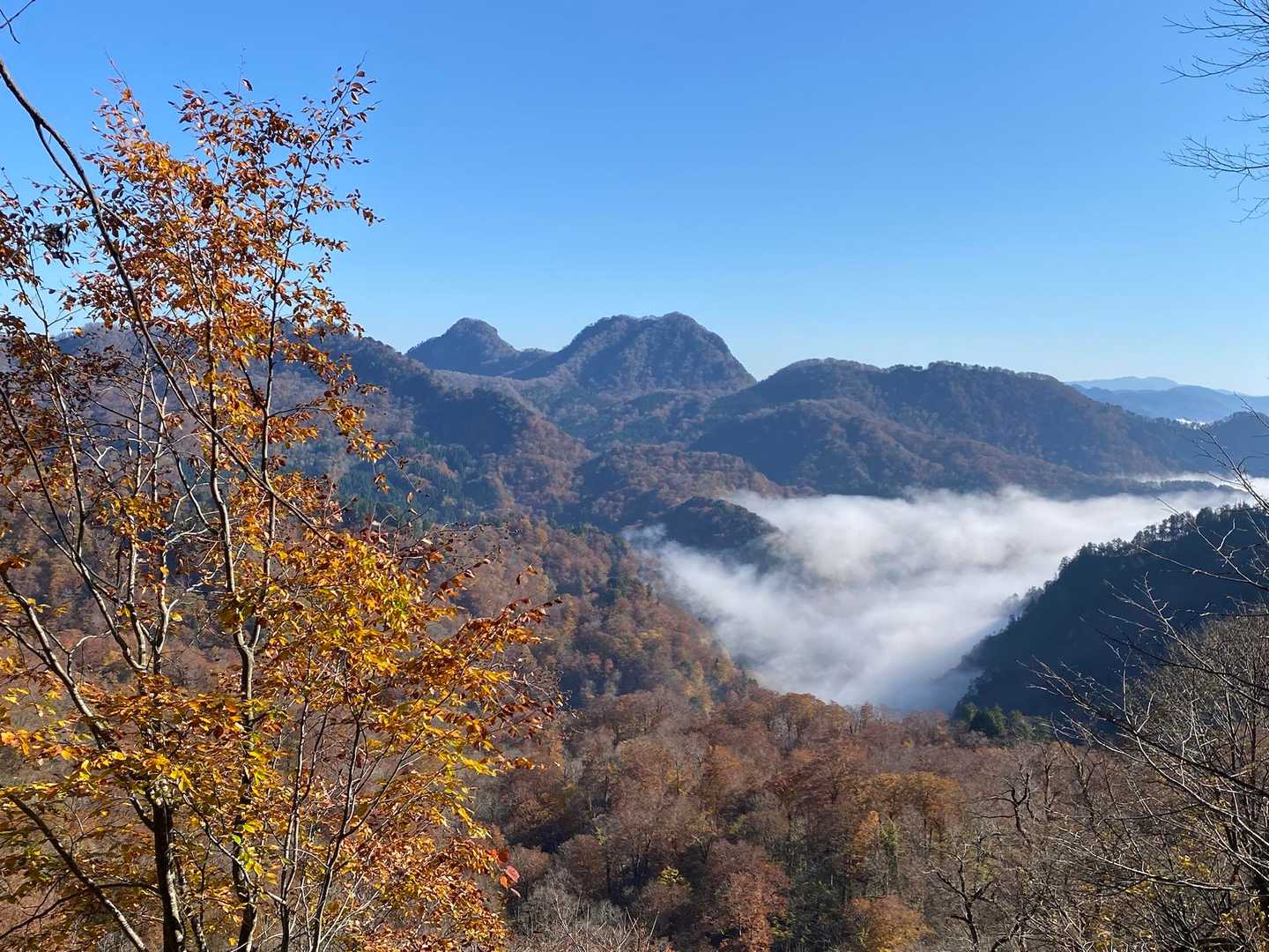 甑山近い
良い眺めです😍