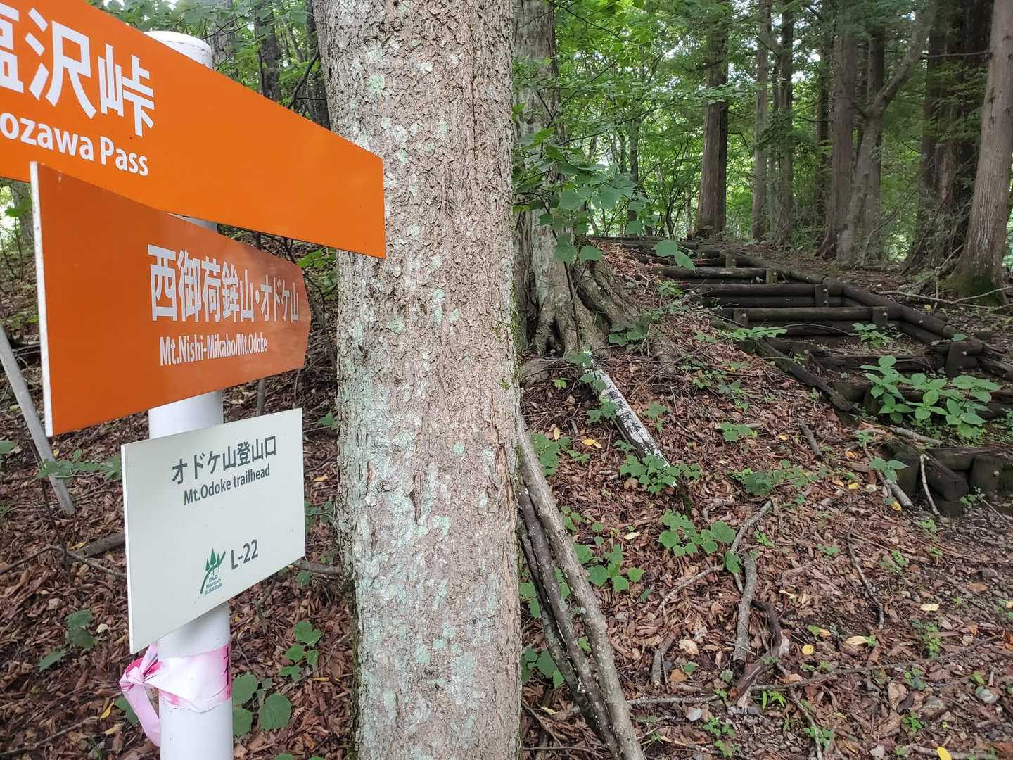 標識しっかりしてます。