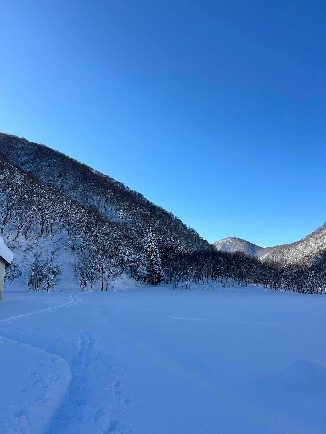 金剛堂山冬期登山口-片折岳 往復コースの写真