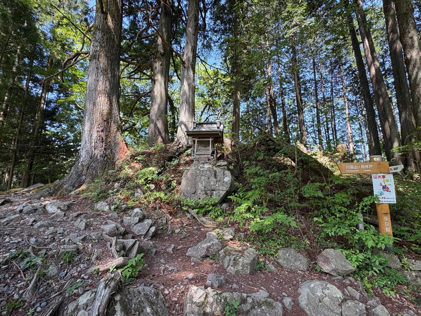 大根ノ山ノ神（標高661）通過

安全登山🙏
