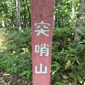 2・30分歩いたら到着です。