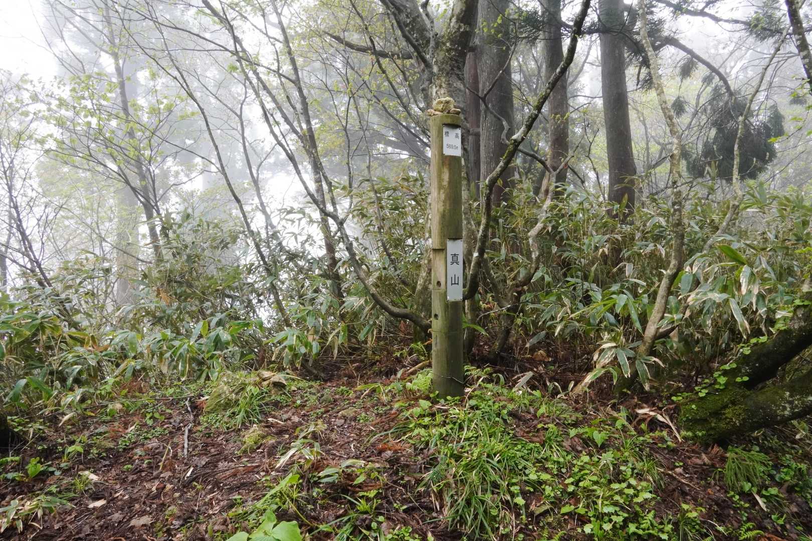 真山の山頂
