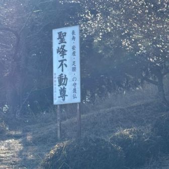 せっかくなのでお参りしました、さて下山