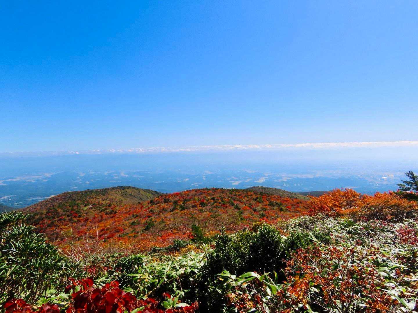 今日来て良かったぁ🍁