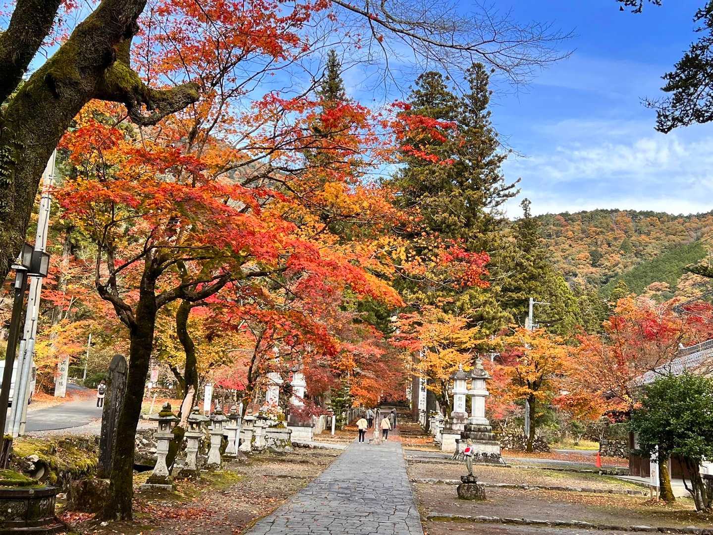 妙法ヶ岳の写真