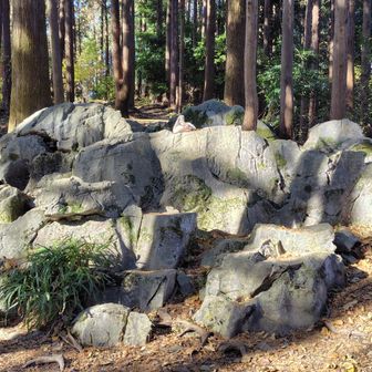 西山高取ですれ違ったトレラン兄さんに今度は白石様へ行く時に後ろから追い越された。え、往復してるんだ〜。