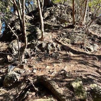 天地山はこの後ろか