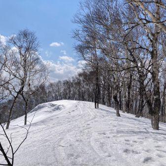 この先にもトレースがありました