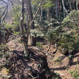 チェンスパはずし、しばらくつづら折りを降りて来てかもしか台でつづらおり半分強くらい降りたかも