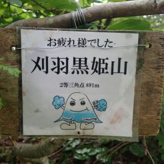 1時間もかからず山頂到着。