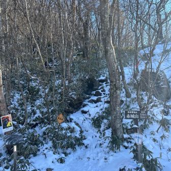 チェンスパはいて、スタート🏔️