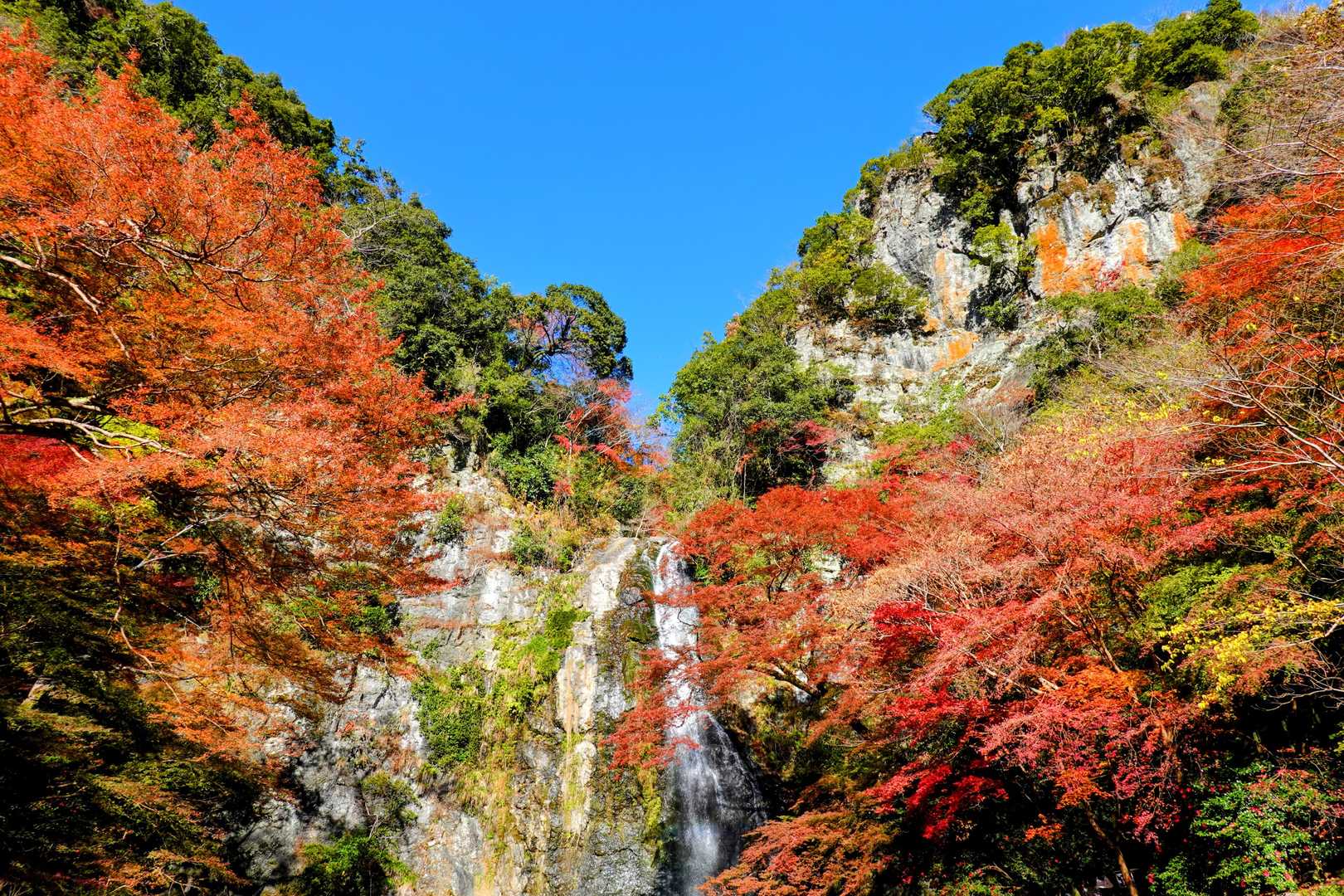 箕面大滝公園入口発着｜滝百選の名爆をめぐる往復コースの写真