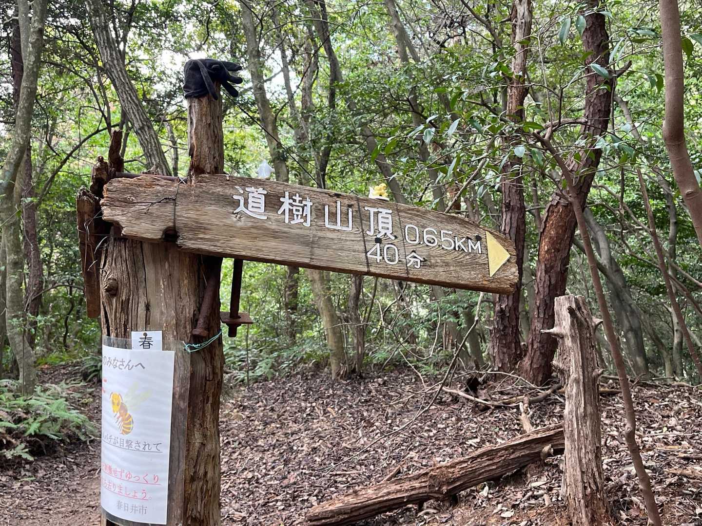 道樹山登山口-道樹山-大谷山 往復コースの写真