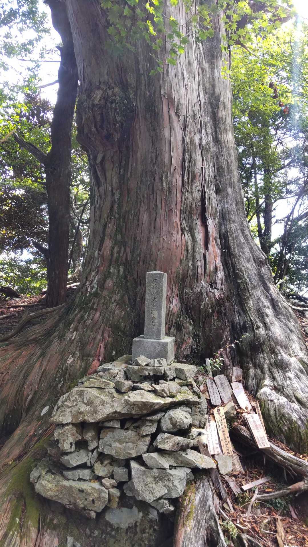 行仙岳-笠捨越-笠捨山 周回コースの写真