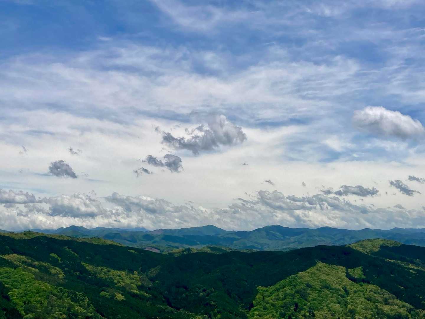雲の流れが早いね。
