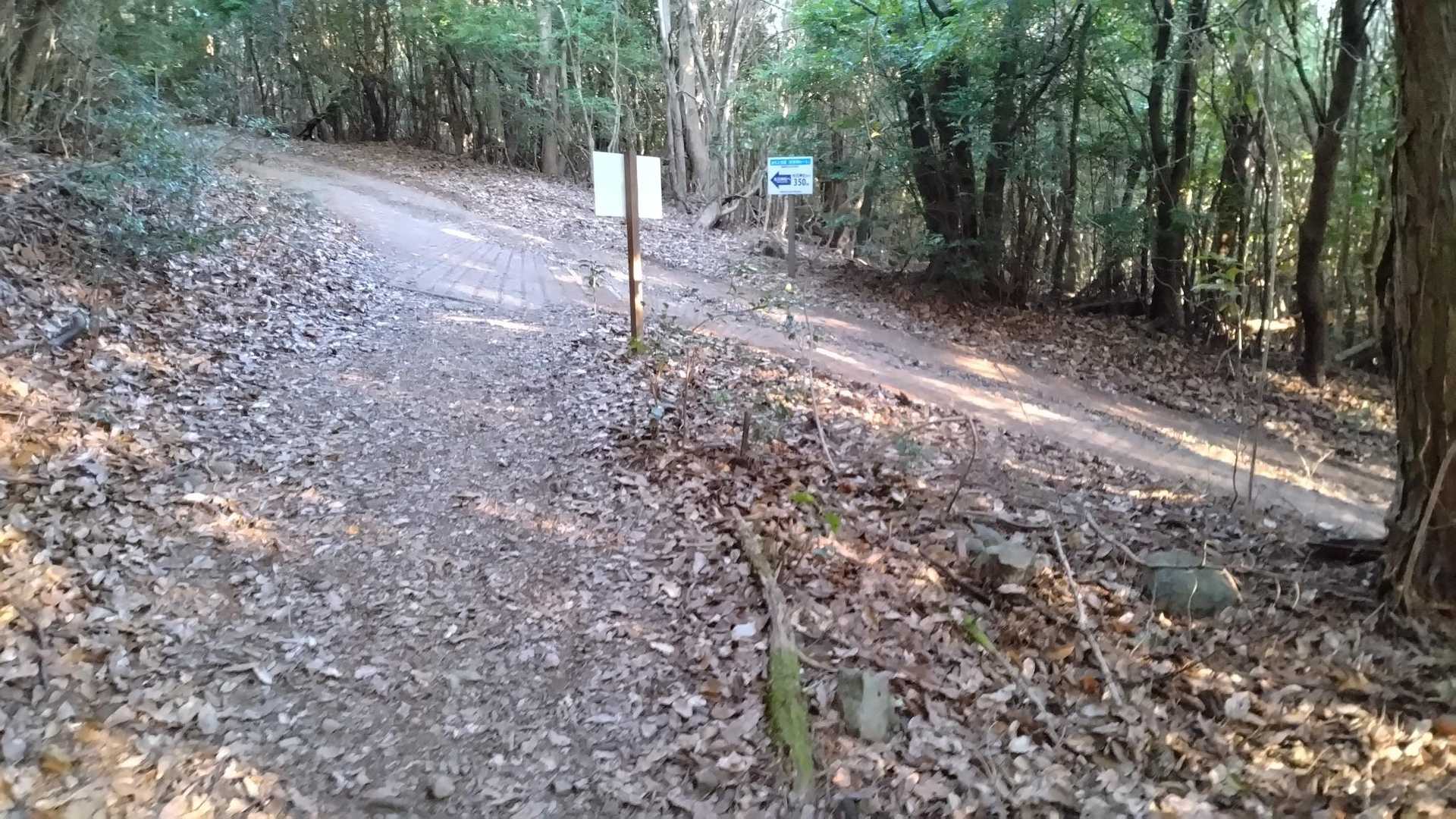 西屋敷からの道と合流