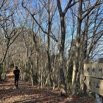 さぁ、大山峠に向かって歩こう。
大山、、
またいけるといいなぁ。。

この道気持ちいいねー。