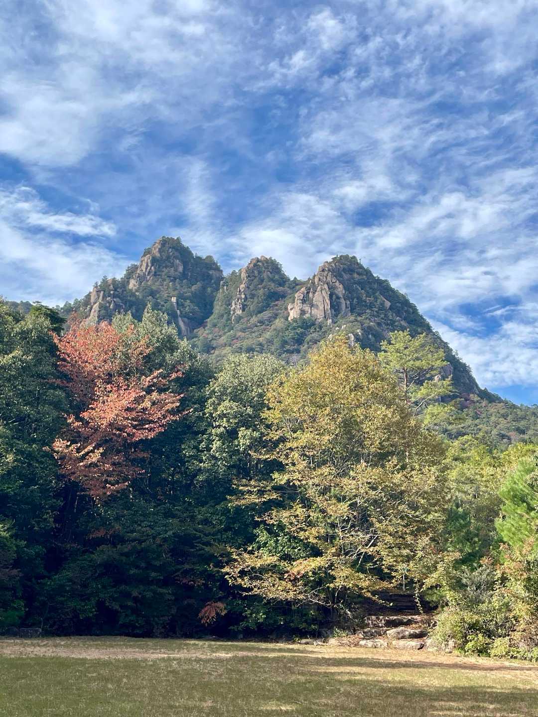 下りて来たところでもう一度📷