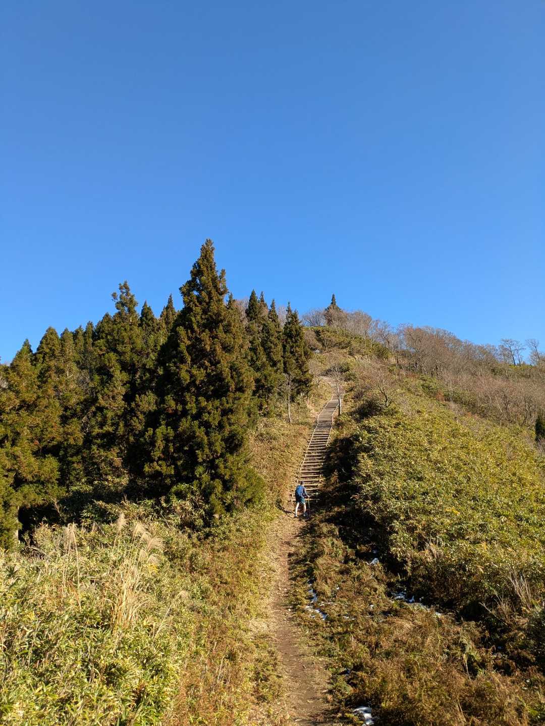 赤和瀬登山口-丸山登山口-丸山-ブナの谷頭-霧ヶ原-伯州山 周回コースの写真