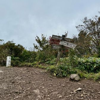 大将旗山山頂