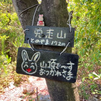 兎走山頂上。ここも展望ナッシング。