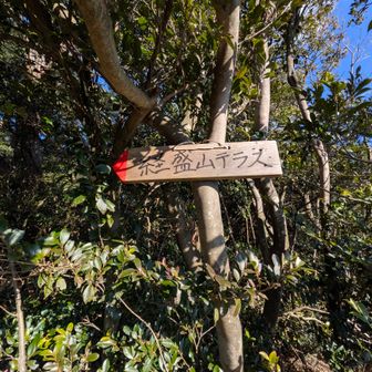 えだちゃんの標識もバッチリな位置に有りました👍