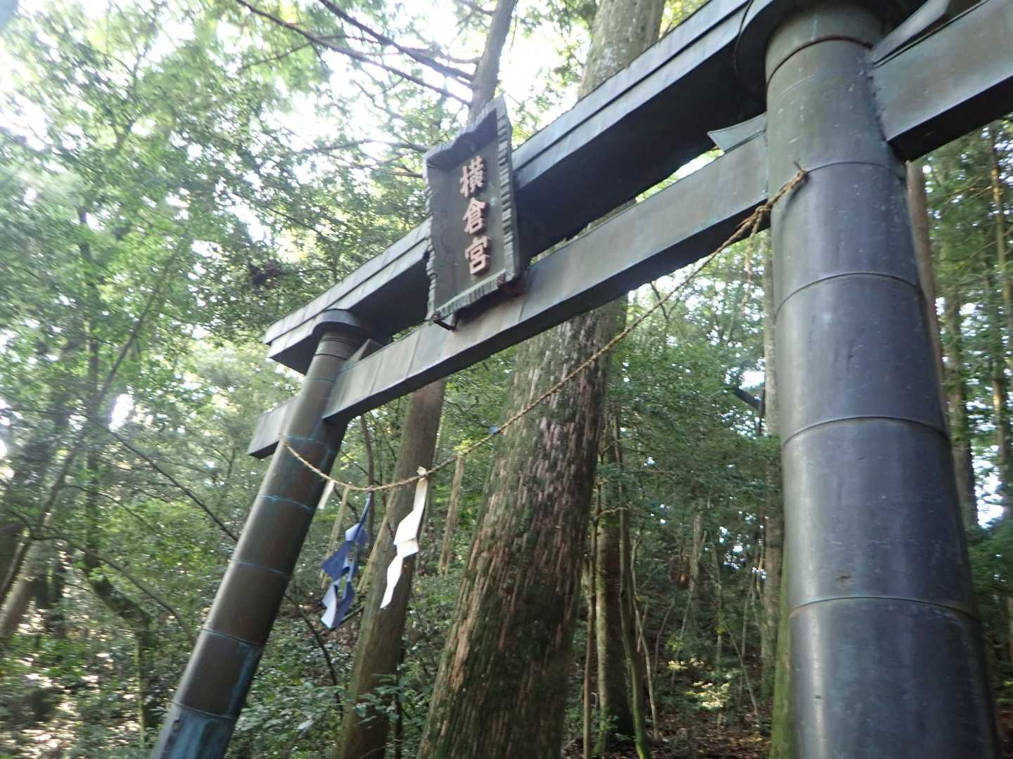 『高知県は「青土佐」の紙垂がある。藍色の和紙のことで、かつて和紙の産地だった土佐で藍染をした紙垂をつけている』
と言うことだった