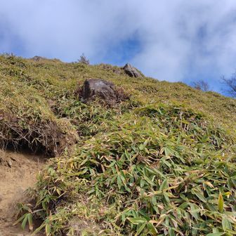 山頂手前の凄い急斜面
ひっくり返りそうになりますね〜
見上げてると首が痛くなります🙄