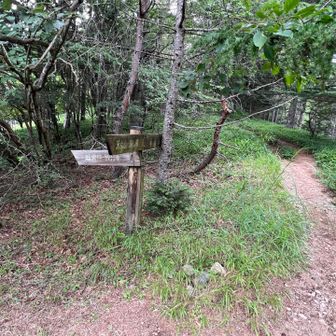 観音平への道との分岐まで下ってきました😊
