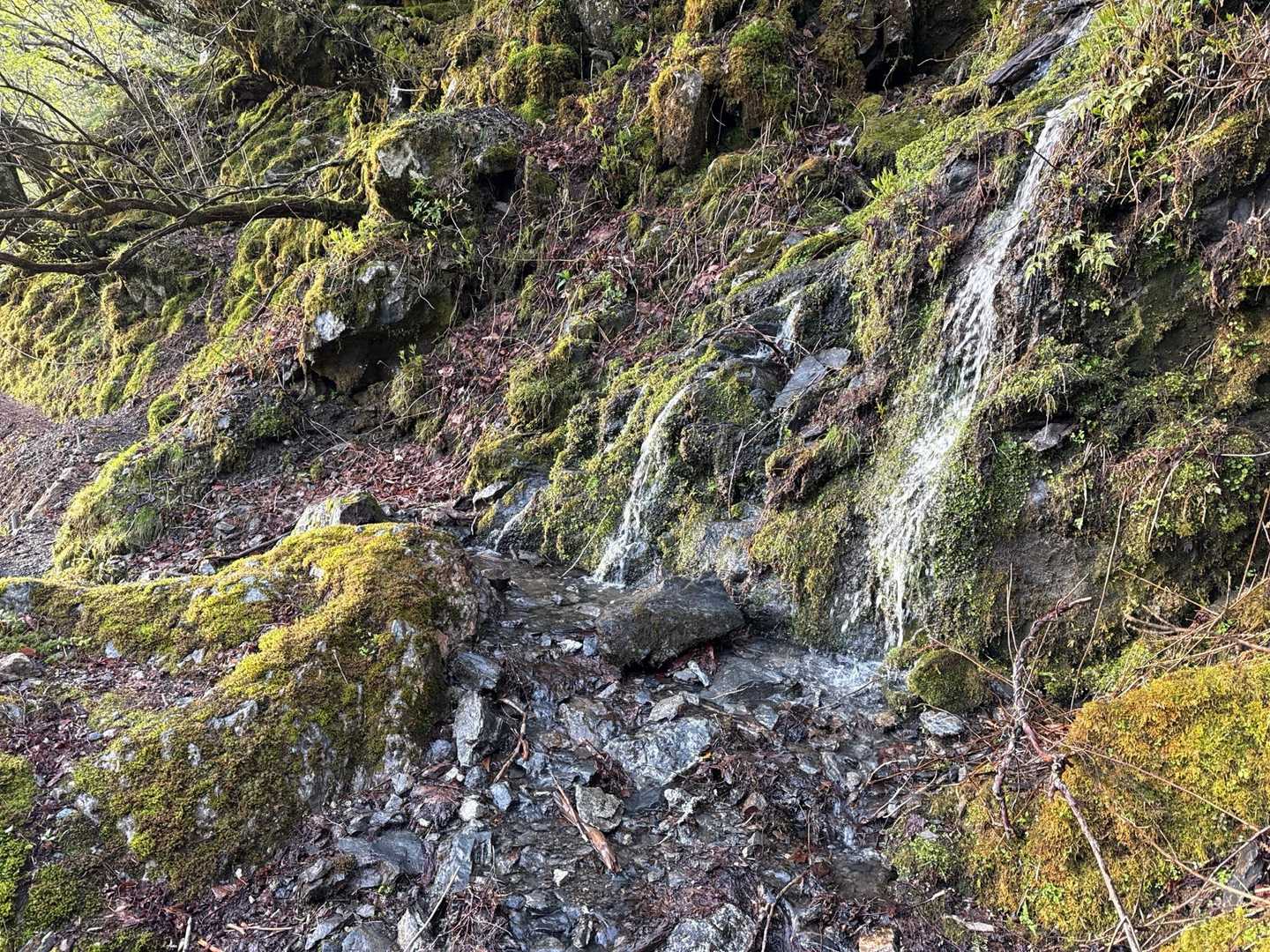 登山道が川状態