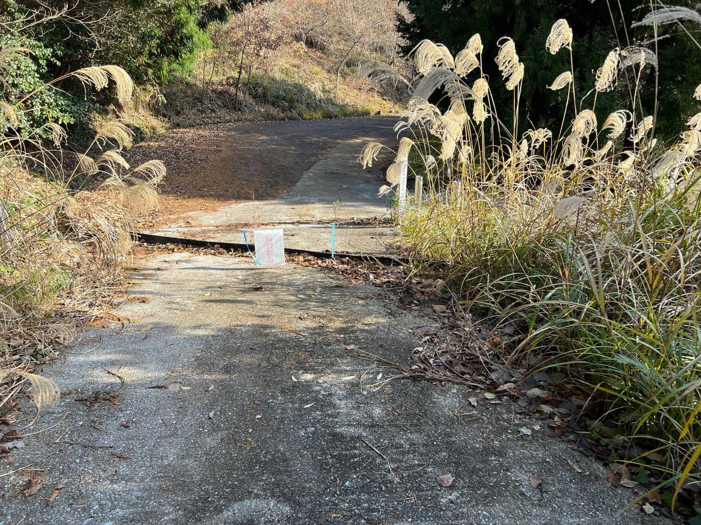 林道に出ました。
向こう向きに通行禁止の立て札。
ここを右。