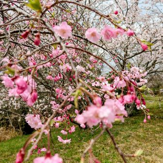 さて降りましょう😄まぁまぁ初めての場所 楽しめました

午後から雨予報 速攻で博多へ帰ります😄