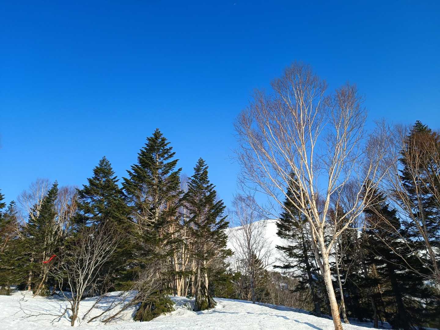 快晴の青空🤩