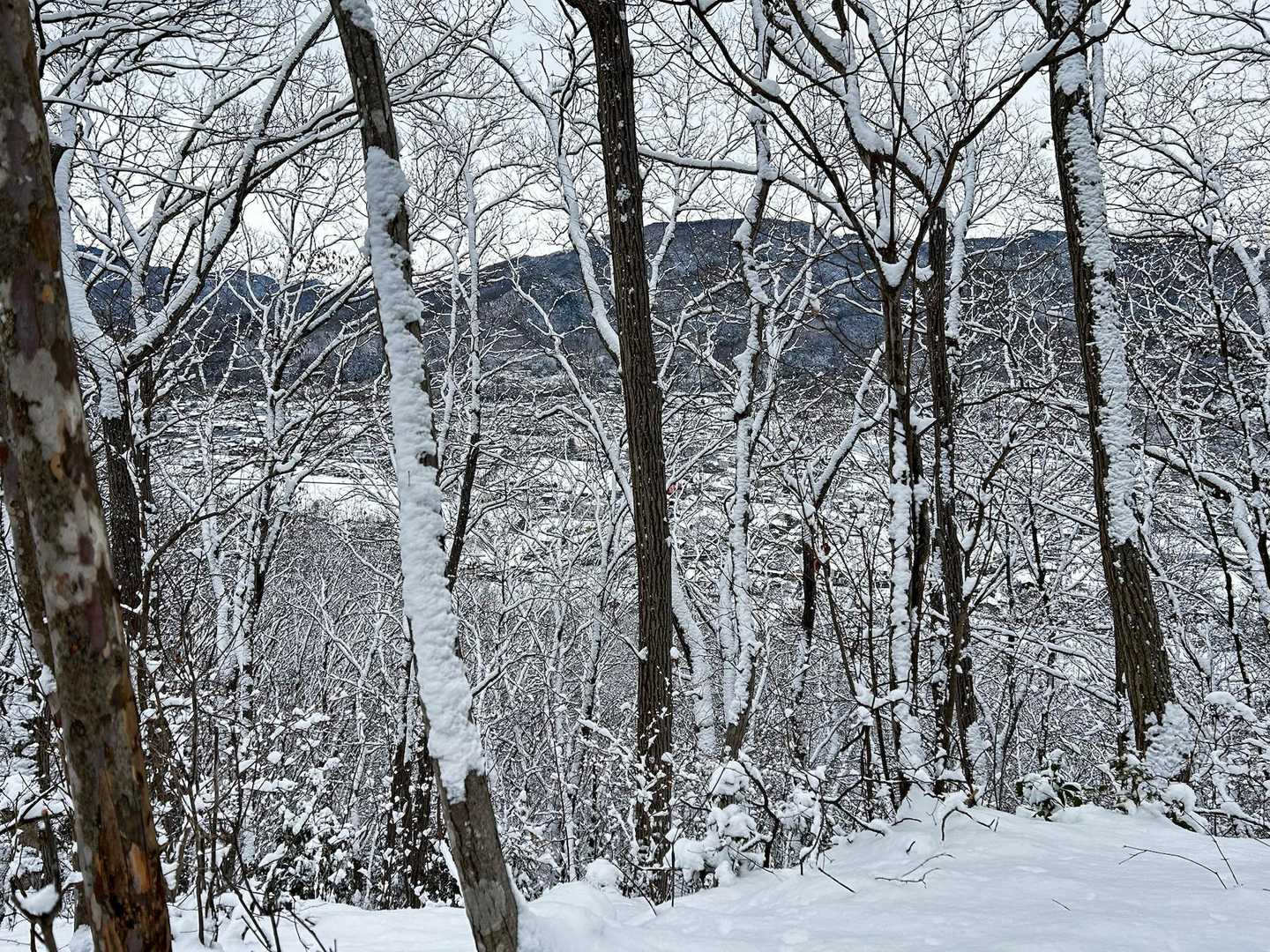 街も真っ白だね❄️