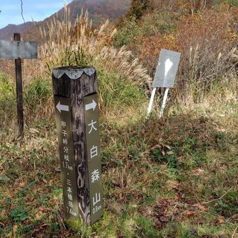 昔の林道と交わる甲子峠
白河からの林道は廃道になっていますが、オフロードバイクは通れそう。実際、帰りにツーリングの方たちがいました。下郷方面はまずまずの道だそうです。