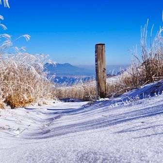 山頂から先も、バージンスノー…❄️✨そして、その奥には…
