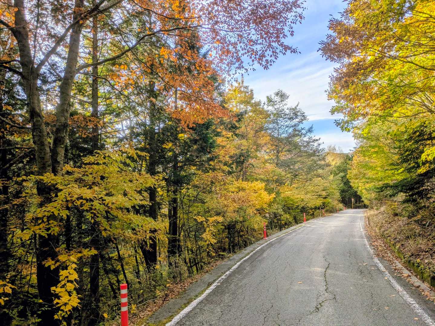 車道歩き🍁