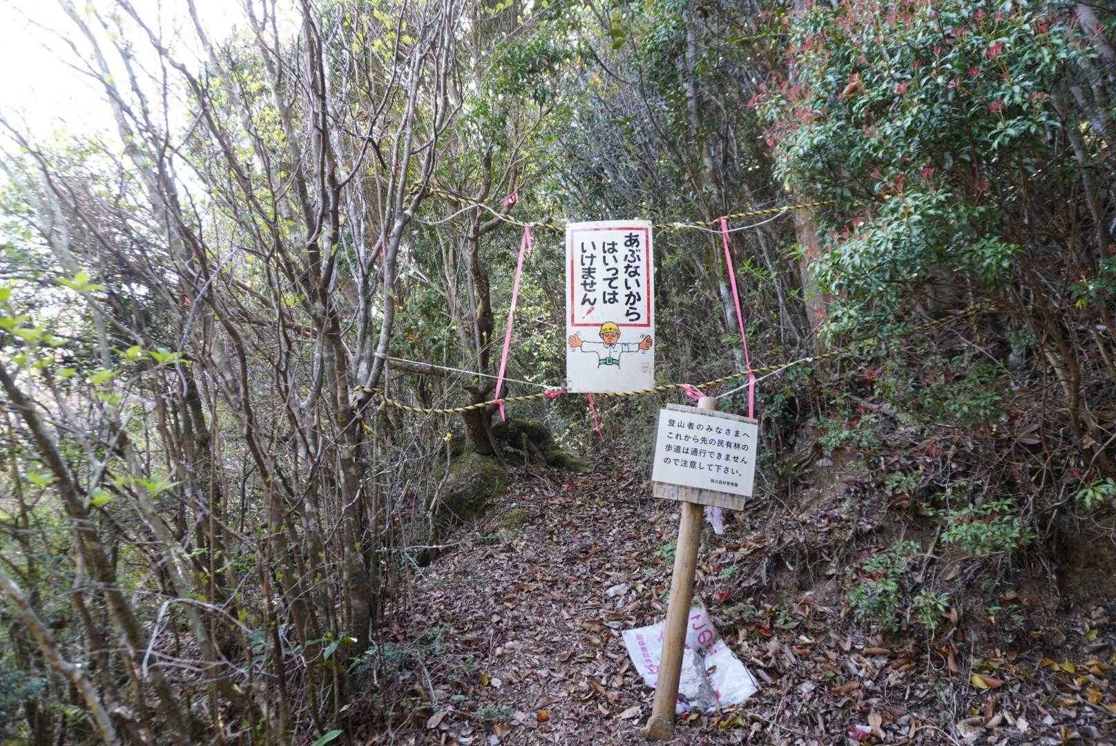 ここは右に