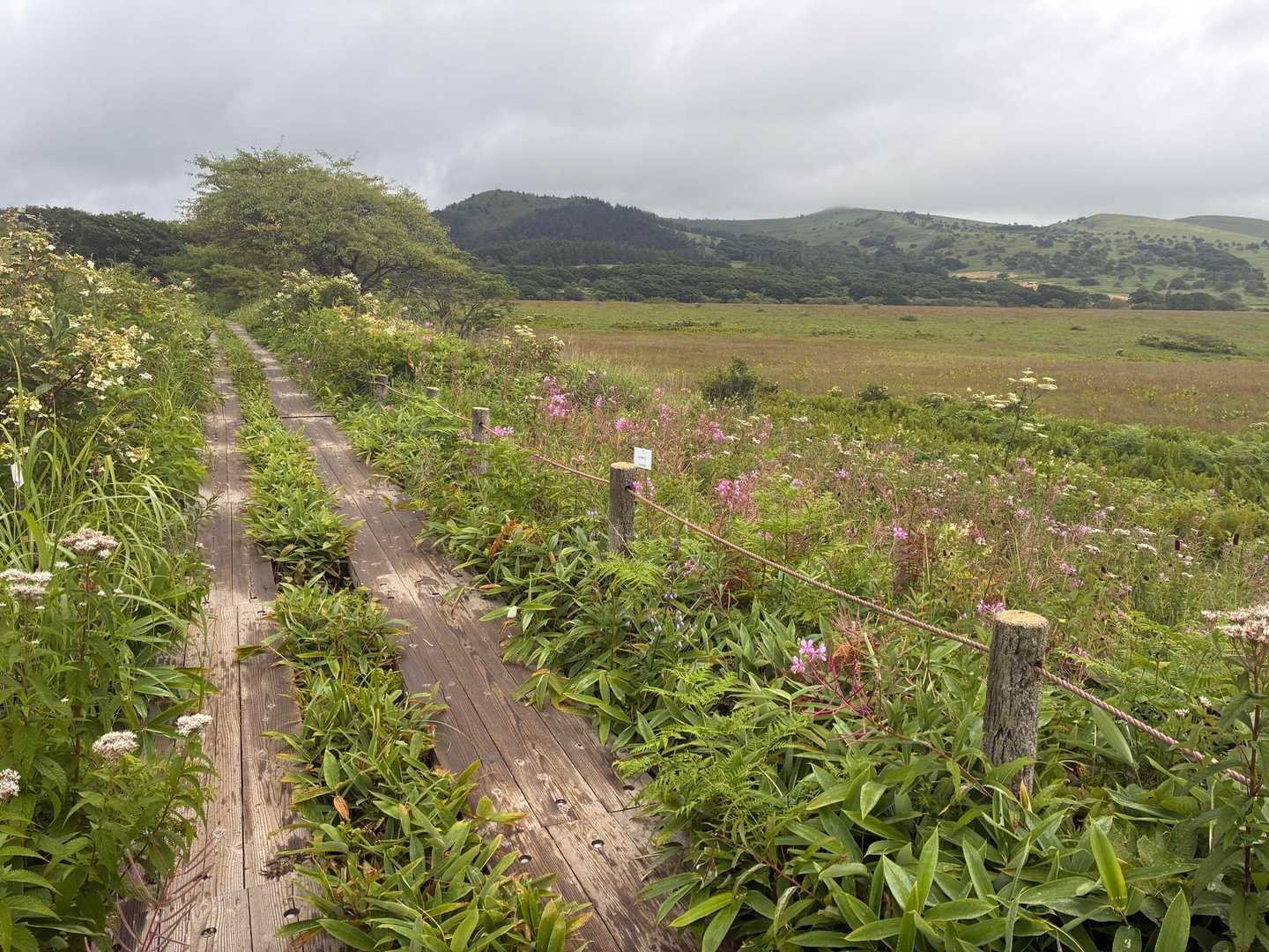写真撮りすぎて進めず🚶‍♀️