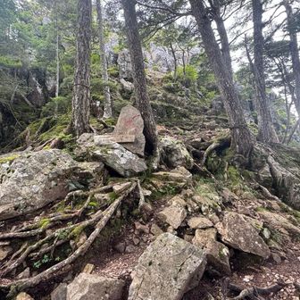 左上の岩山はロープが貼ってあり進入不可のようです。右の道に進む。