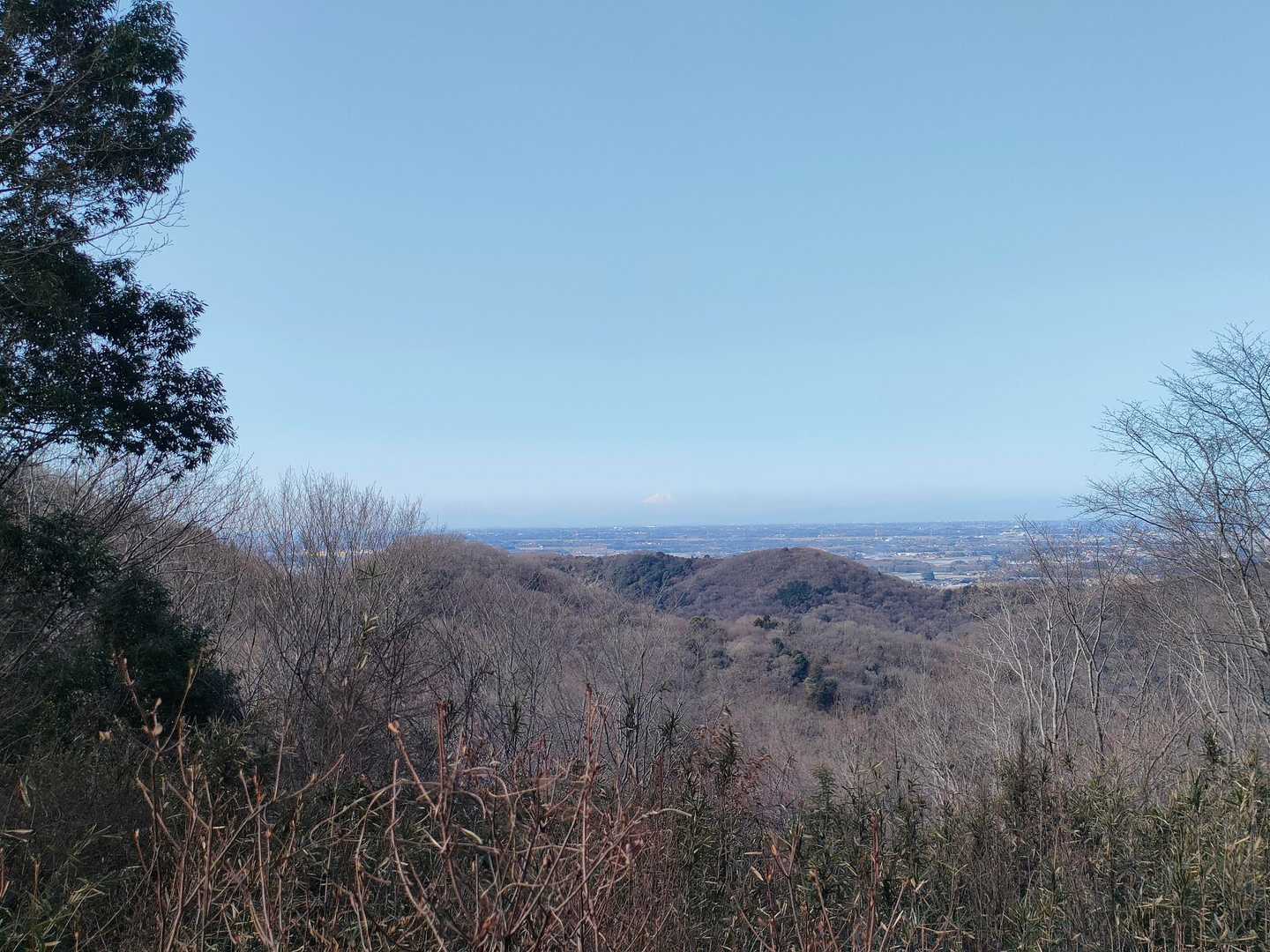 富士山🗻も、見えました✨