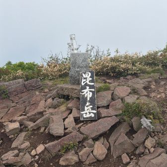 お久しぶり。