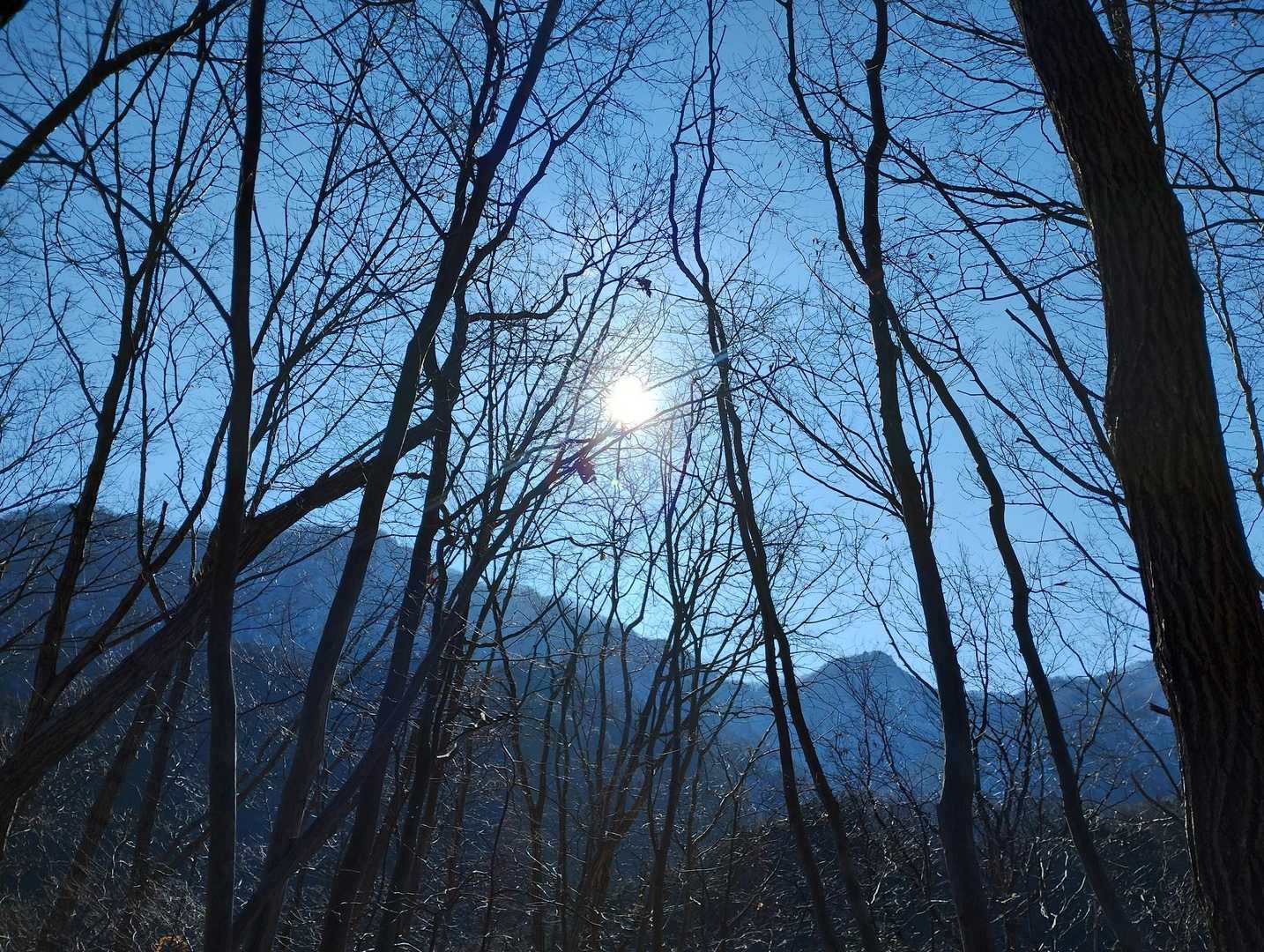 登り始めは絶景が楽しめそうな天気