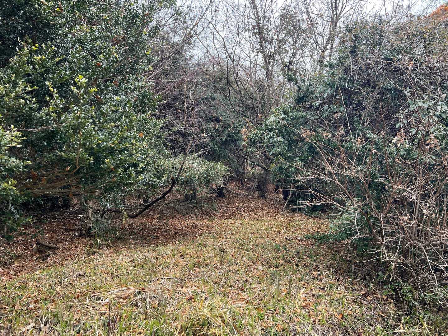 伏石登山口-鞍岳-赤崩登山口 周回コースの写真