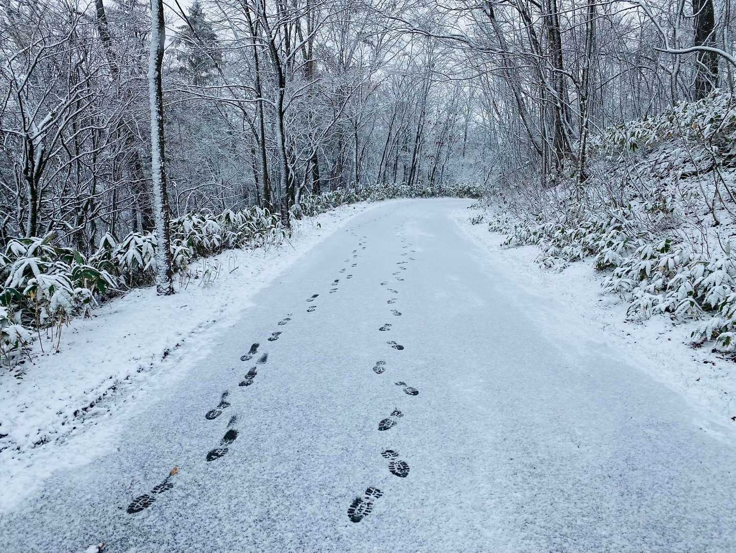 足跡が綺麗👣
