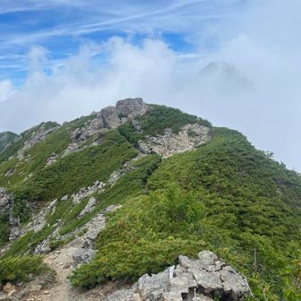 道は、あった