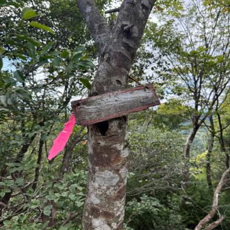 品谷山分岐。少し前（去年くらい）に登った人のレポートでは読めていましたが、文字が消えています😅