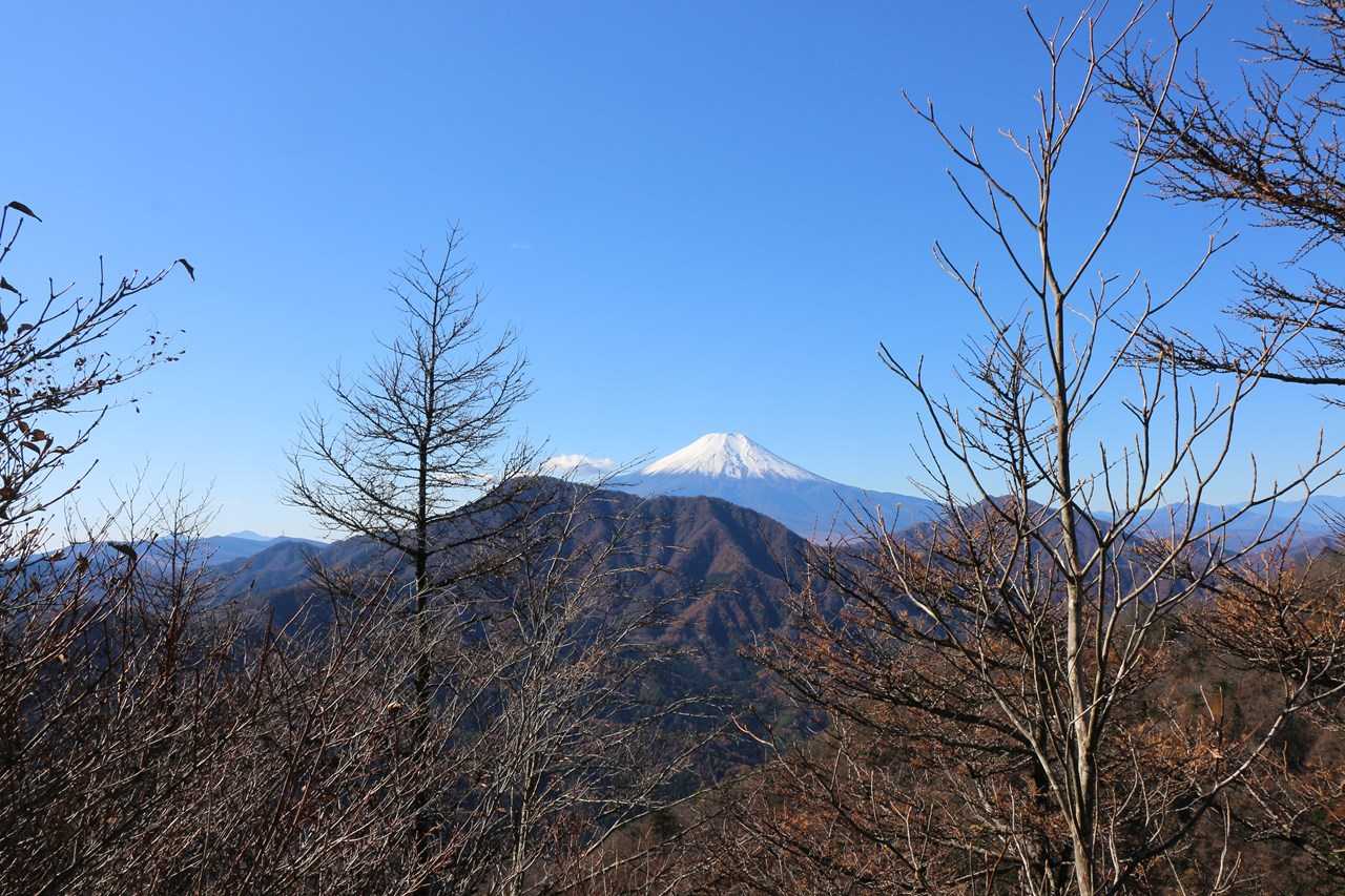 おー富士山が綺麗
