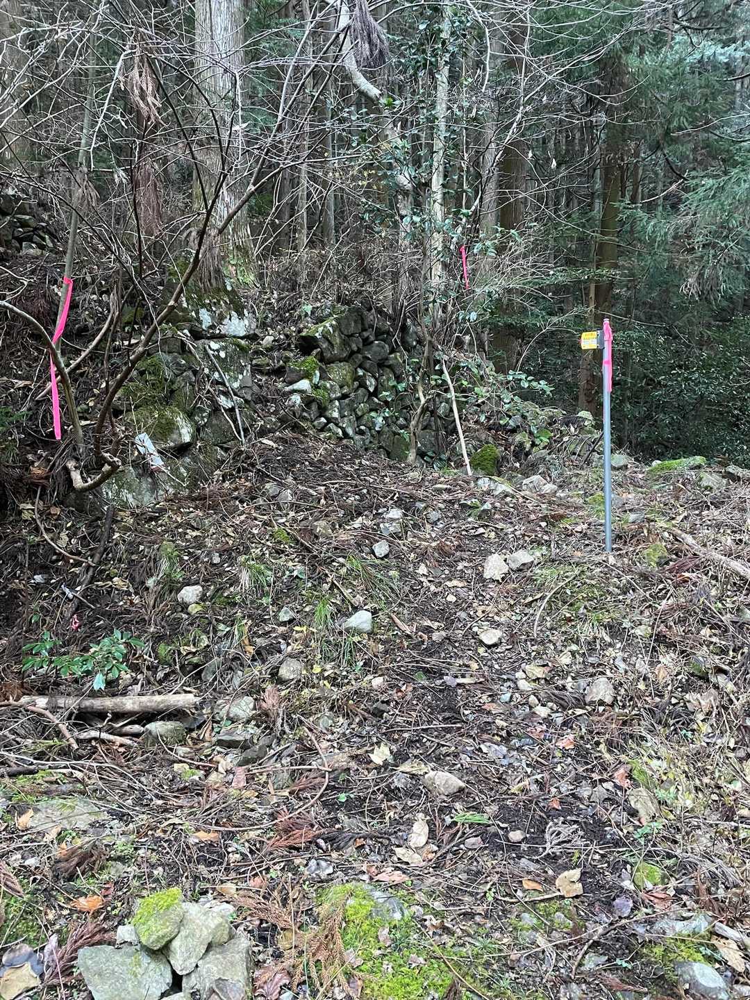 瀧神社に車を停め10分ほど歩くと登山口
登山口がちょっとゴサゴサで
どうなることかと思ったら
すぐにフツーの道になりました😅