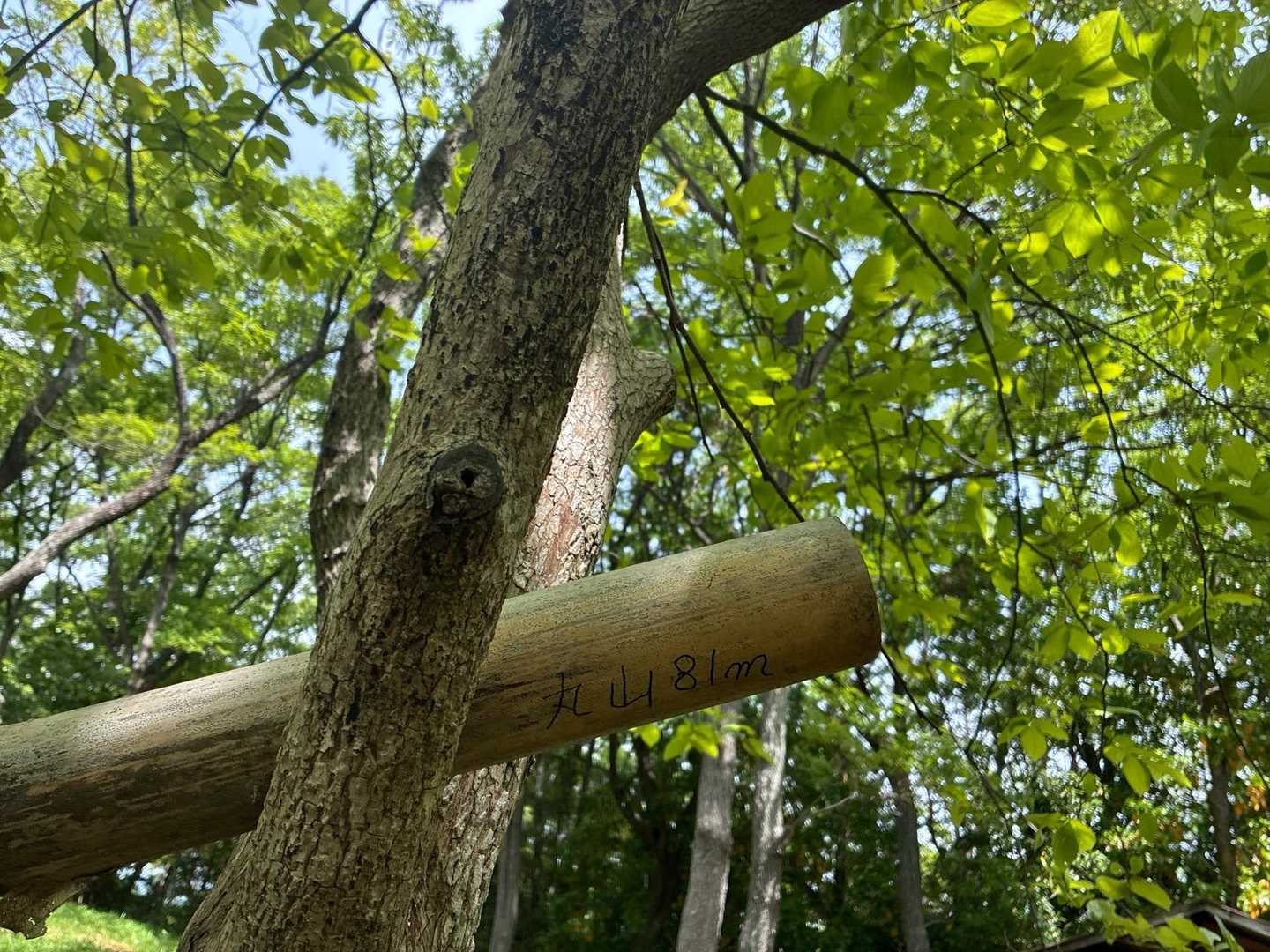ここにしか、標識見つけられなかった